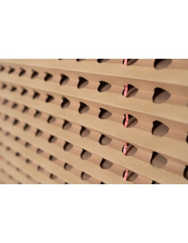 CARTON PLEGADO 1X10M