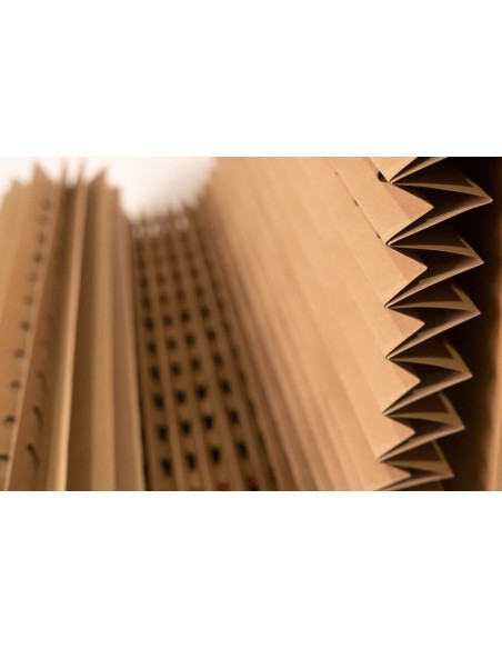 CARTON PLEGADO 1X10M