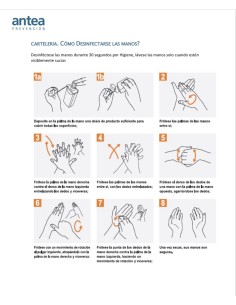 Gel hidroalcohólico higienizante 250ml. 2