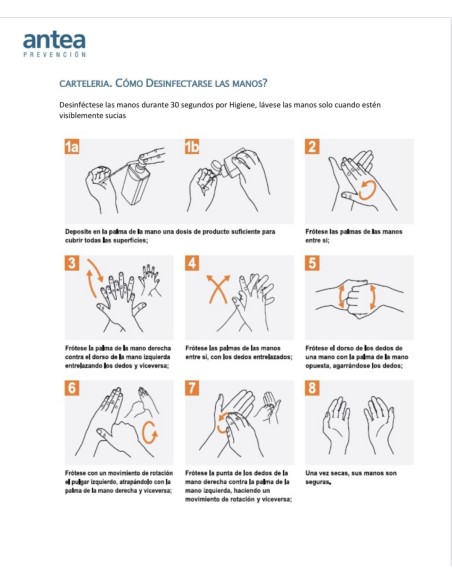 Gel hidroalcohólico higienizante 250ml.